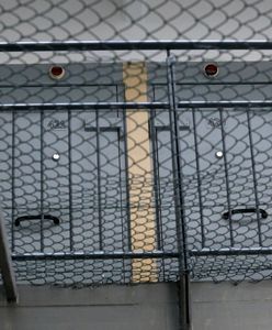 "Loczek" nie żyje. Ciało świadka koronnego znaleziono w celi