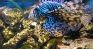 Oceanarium w Gdyni