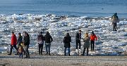 Stegna: Pierwszy powiew wiosny! Tysiące spacerowiczów na plaży