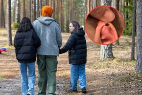 Żaden kleszcz się nie uchowa. Zawsze sprawdzaj te miejsca na ciele