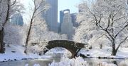 USA. Burza śnieżna paraliżuje Nowy Jork. Sieć zalewają zdjęcia
