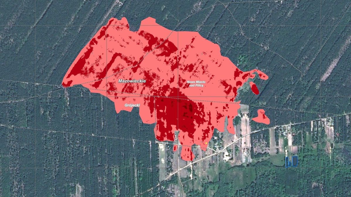 Lasy Państwowe ostrzegają przed pożarami 