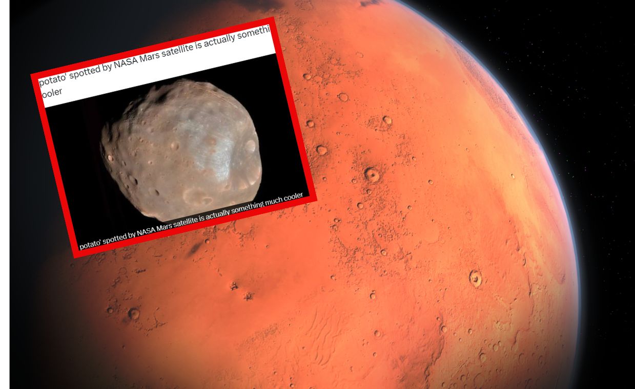 NASA showed a picture of Mars' moon, which could collide with it. It was called a "space potato."