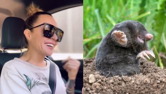 Roześmiana Blanka Lipińska opowiada o  pułapce na KRETA: "Zgadza się, ZDECHNIE. Puszczę mu anielski orszak, uronię łezkę i zakopię"