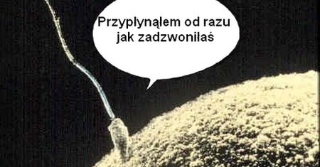 Sex i komórka to zgrana para, czyli „spice up your life”