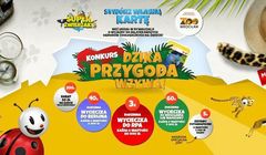 Biedronka akcją „Super Zwierzaki” zachęca rodziców do zakupu owoców i warzyw