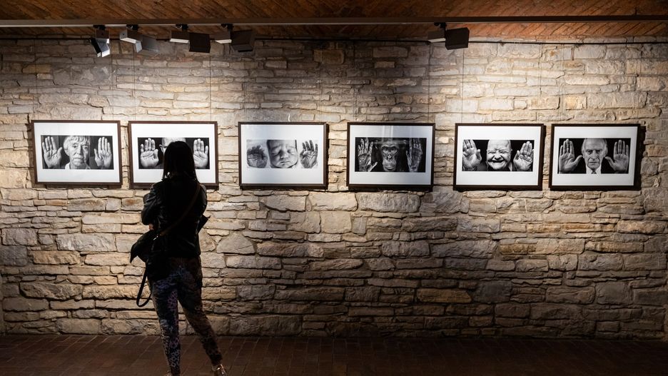 Bielsko-Biała. Miasto na dwa tygodnie stało się ;stolicą fotografii.
