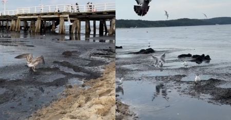 "Dzisiaj tak przy molo". Nagranie z Sopotu. Ludzie zbulwersowani