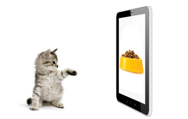 Zmodyfikowane zdjęcie: Black tablet pc on white background and kitten pushing screen
