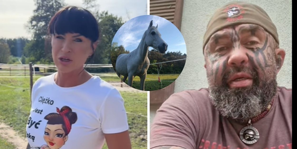 Ziemia dla koni Różalandu – daj koniom azyl. Trwa zbiórka funduszy!