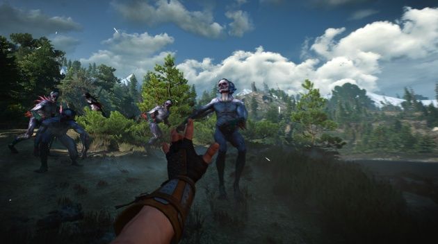 Wiedźmin 3: Dziki Gon FPP screen