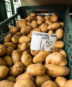 Załamanie na rynku ziemniaków. Drastyczna korekta ceny