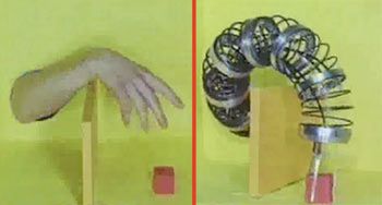 10 Niesamowitych robotów od Shigeo Hirose 2