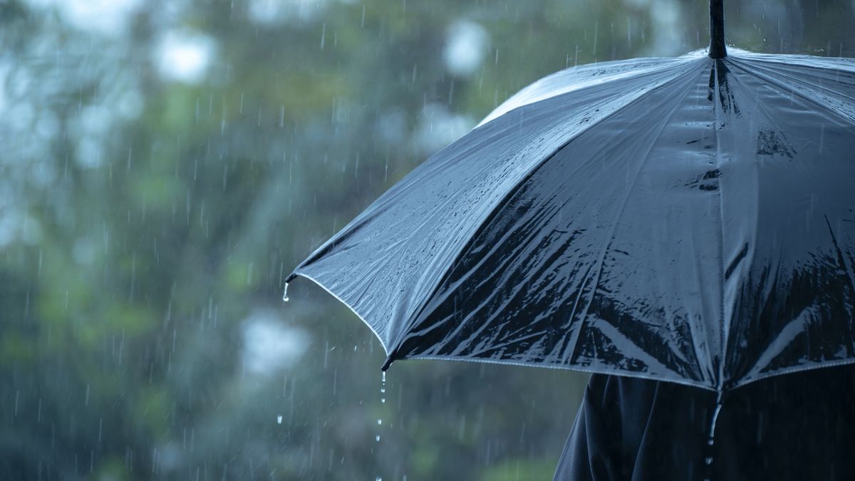 Rain Umbrella Torrential Rain Thunderstorm. Black Umbrella on Wet Floor During Heavy Rain Weather. Black umbrella rain weather season stormy mood loneliness sadness solitude depression protection shelter dark wet floor water droplets outdoor.
Rain Umbrella Torrential Rain Thunderstorm. Black Umbrella on Wet Floor During Heavy Rain Weather. Black umbrella rain weather season stormy mood loneliness sadness solitude depression protection shelter dark wet floor water droplets outdoor.
sarayut Thaneerat