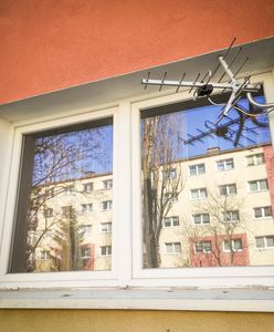 Możesz zrezygnować z abonamentu RTV. Oto kiedy zrobisz to legalnie