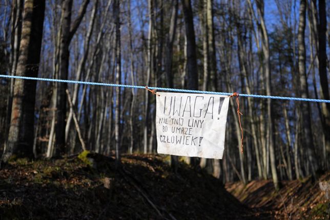 Aktywiści okupują las