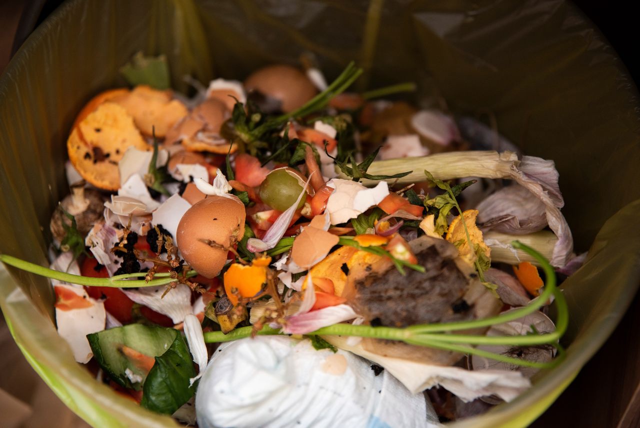 Do not throw egg shells into the mixed waste bin