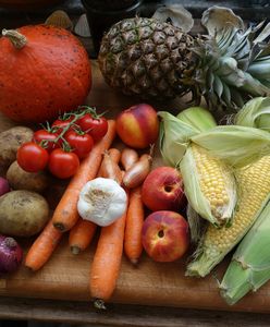 Ciechanów. Ekologiczni seniorzy. Tworzą Eko Farmę Miejską