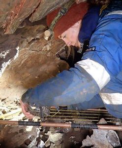 Szczątki mamuta i zwierząt z epoki lodowcowej. Sensacyjne odkrycie w Anglii