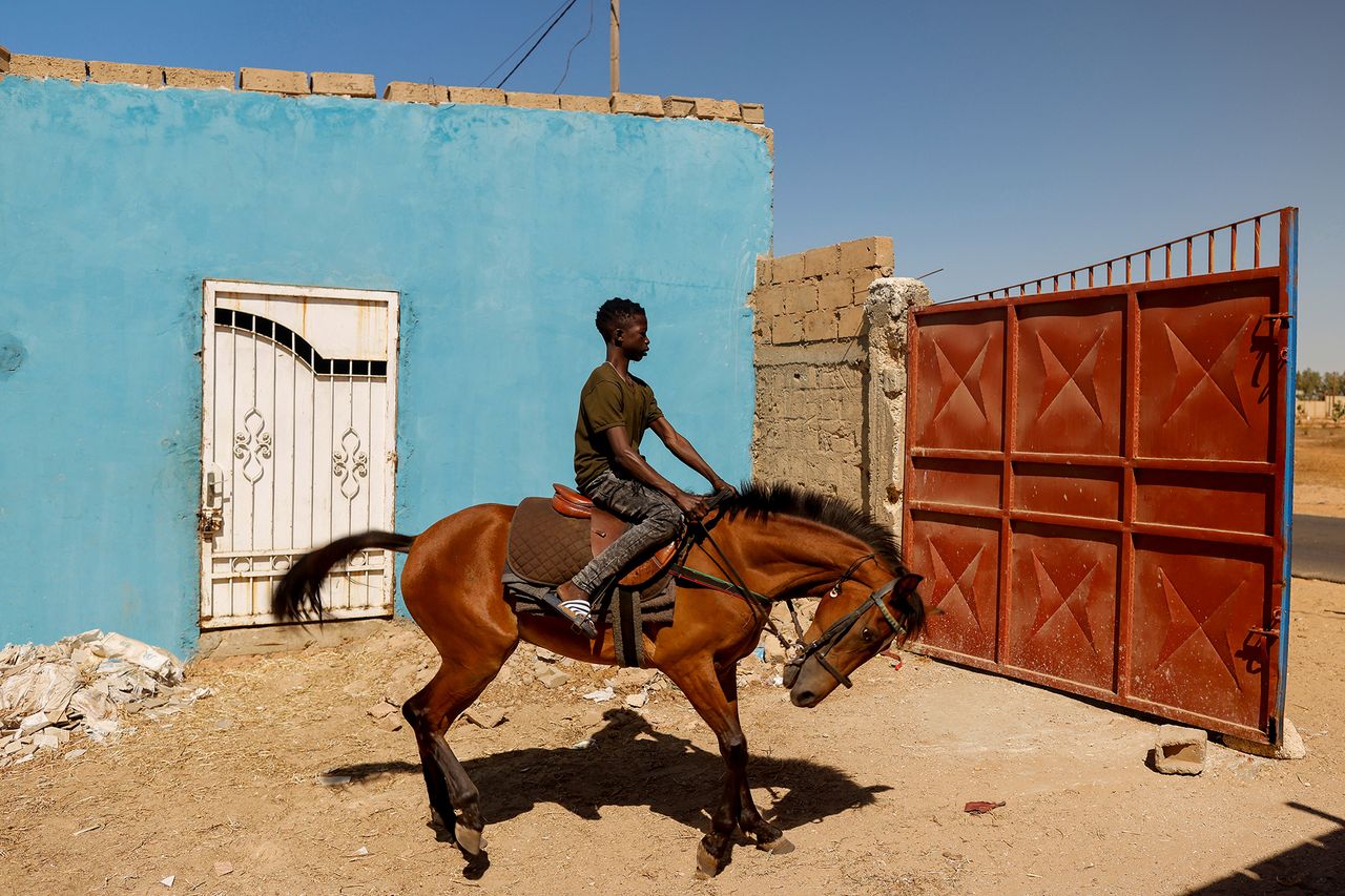 27.01.2021 r., Senegal. 19-letni dżokej Fallou Diop ujeżdża młodą klacz, którą będzie trenował, by w przyszłości brać udział w zawodach. Klacz pochodzi ze stajni Lambafar w miejscowości Niaga.