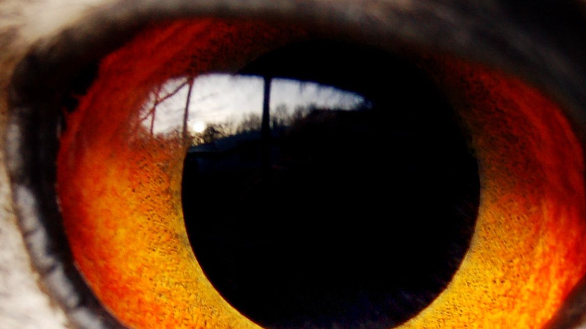 Najlepszy telewizor do gier 1