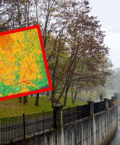 Silny wiatr też w naszym kraju. IMGW przekazuje, co będzie się dziać