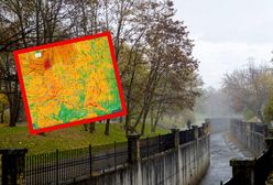 Silny wiatr też w naszym kraju. IMGW przekazuje, co będzie się dziać