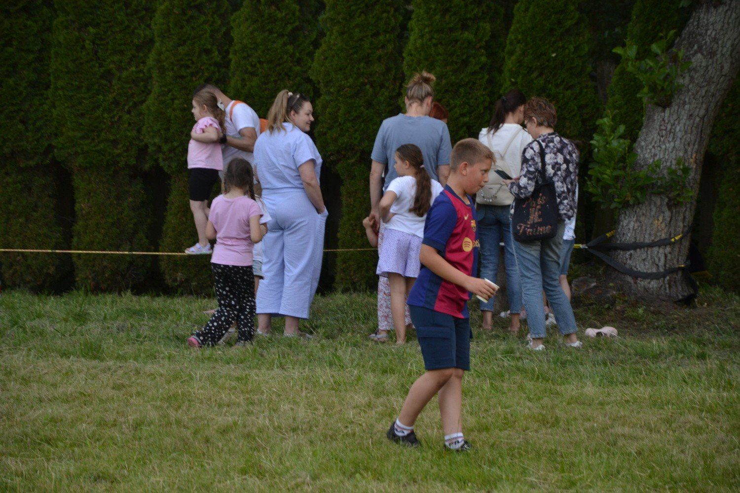 Koncert na łące