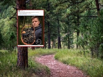 "Czarne złoto". Grzybiarz zebrał cały koszyk