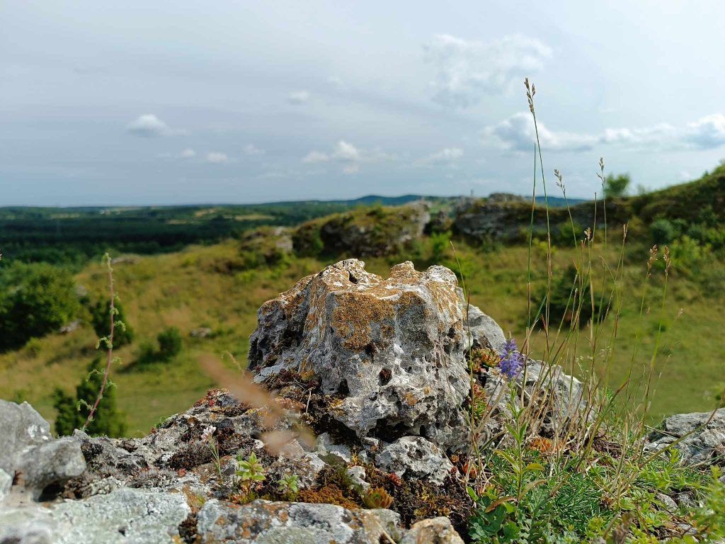 Góry towarne