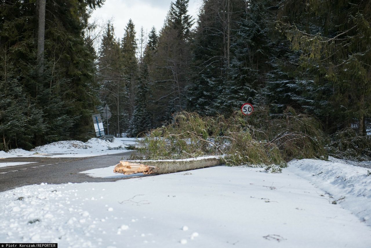 Czechy. Wiatr powalił pięciometrowe ogrodzenie. Nie żyje jedna osoba  