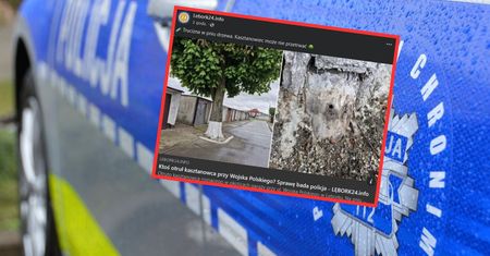 Ktoś wlał toksyczną ciecz w drzewo. Mieszkańcy Lęborka zdruzgotani
