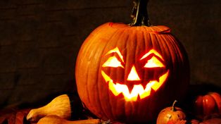 Oborniki: Beetlejuice, Alicja w Krainie Czarów, Halloween i przyjacielski zakład. Ich dekoracje widać z ulicy! Kto według was wygrał zakład?