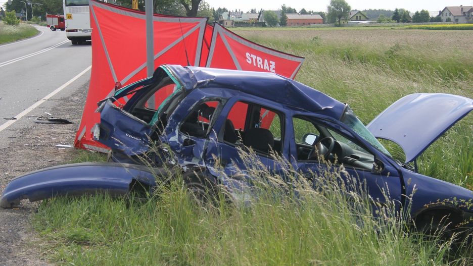Do wypadku doszło na drodze krajowej w miejscowości Lutogniew (gm. Krotoszyn)