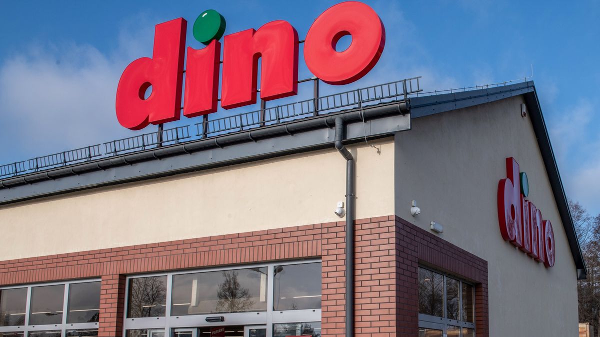 Promocje w Dino