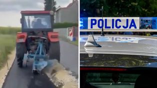 Wiadomo, co stało się z psem rolnika z Gliwic. Policja tłumaczy
