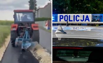 Wiadomo, co stało się z psem rolnika z Gliwic. Policja tłumaczy