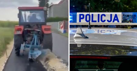 Wiadomo, co stało się z psem rolnika z Gliwic. Policja tłumaczy