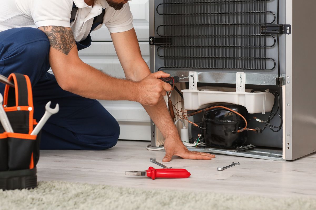 Cleaning your fridge's back can cut energy costs and extend its life