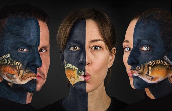 Większość sieci handlowych nie będzie sprzedawać żywych karpi