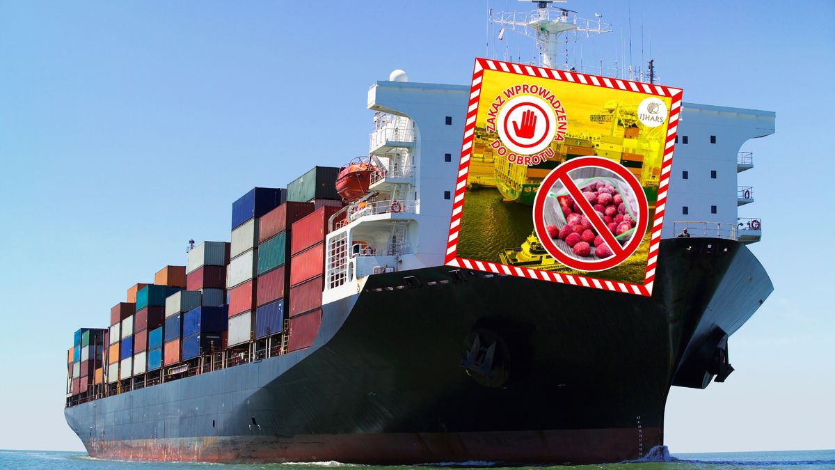 Owoce z Egiptu zatrzymane przez polskie służby