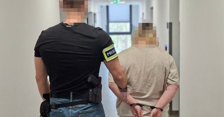 Porzucili psy w lesie i uciekli. 19-latka i jej partner z zarzutami znęcania się nad zwierzętami