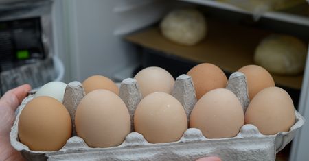 Wiele osób wybiera złe miejsce na przechowywanie jajek. Konsekwencje mogą być przykre