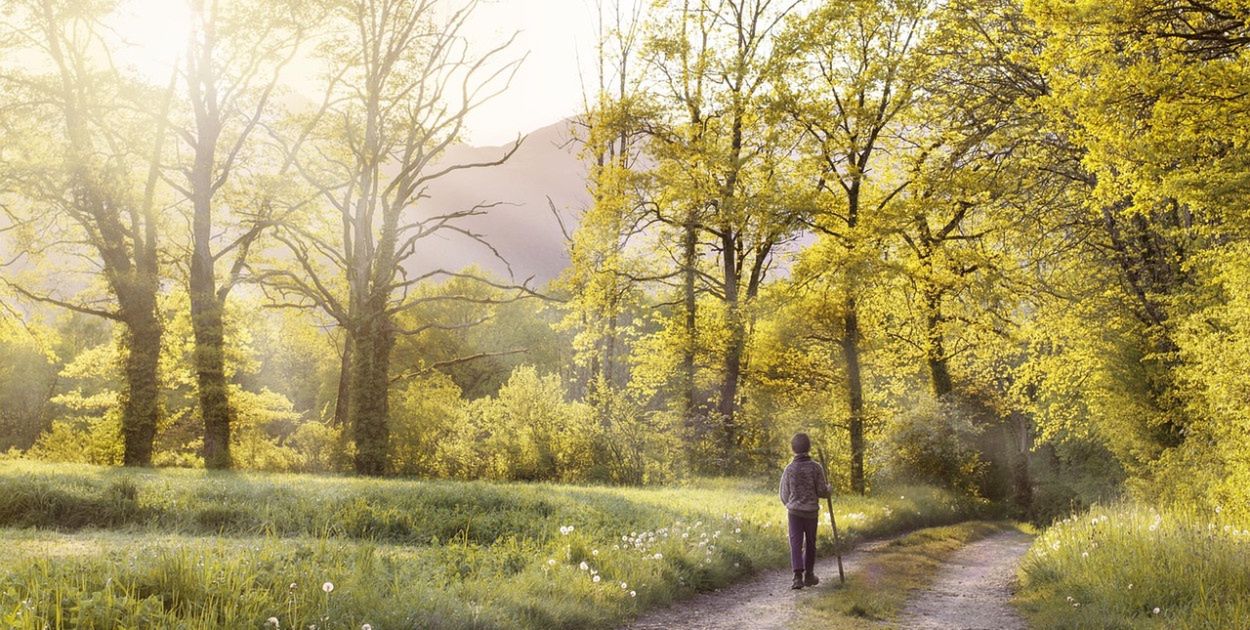 Zwykły spacer może skończyć się poważną chorobą. "Zagrożenie rośnie"