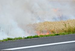Wielkopolska. Seria groźnych pożarów. 30 zastępów straży pożarnej w akcji