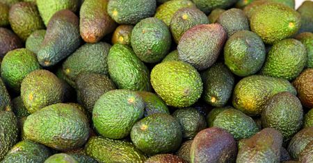 Ruch avocadon’t – dlaczego awokado staje się passe