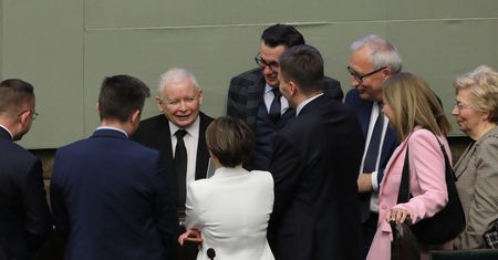 "Wrzutka" PiS do ustawy o ubezpieczeniach. Nawet 5 mln zł kary. "Kompletny cyrk"