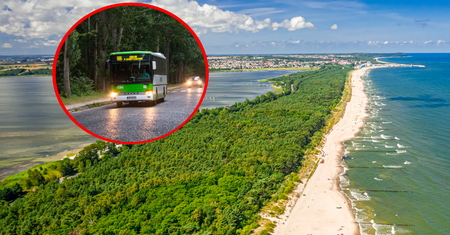 Legendarna linia autobusowa powraca. Turyści ją uwielbiają