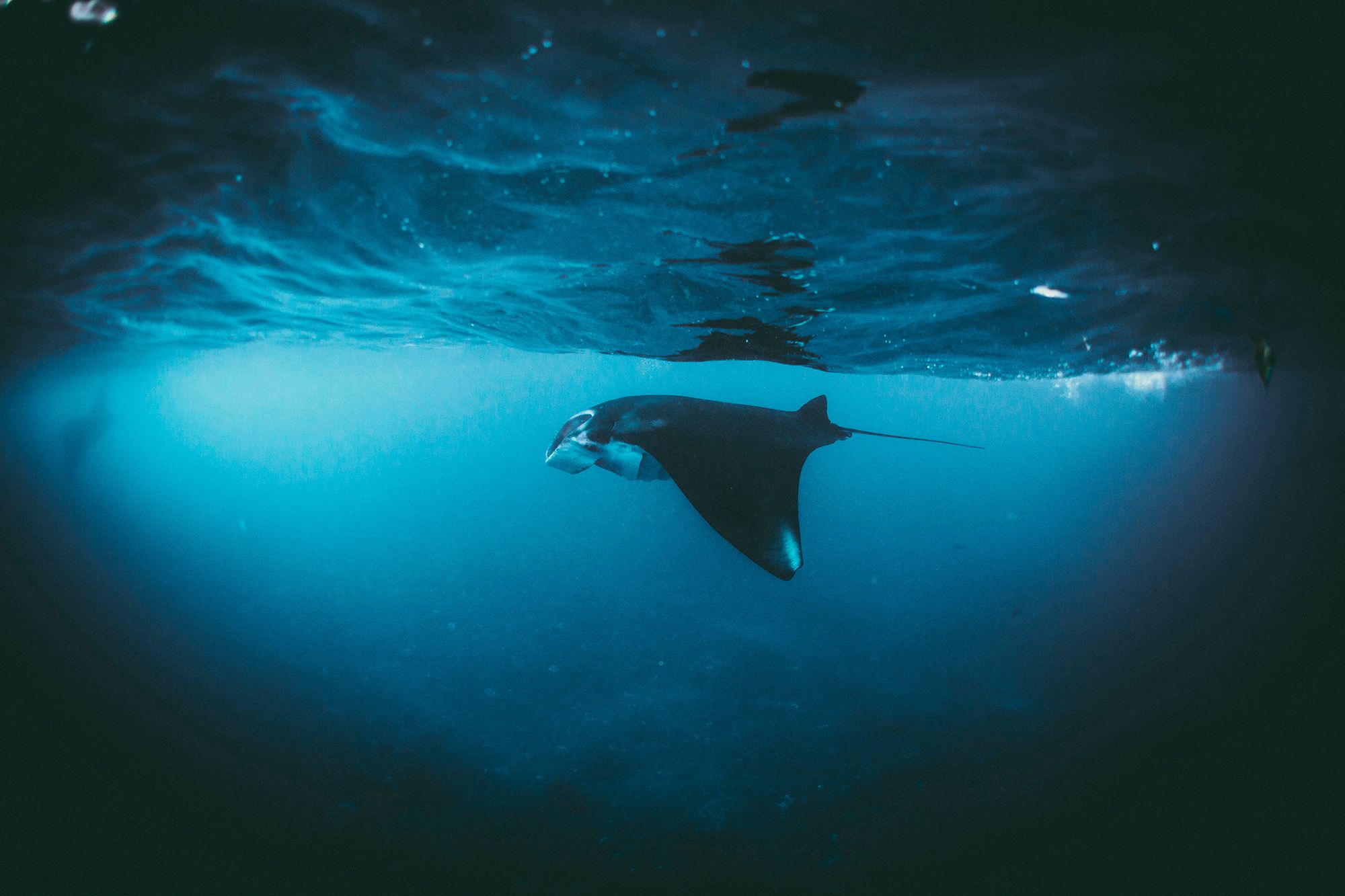 Zobaczcie pierwsze zgłoszenia do Sony World Photography Awards 2017 3