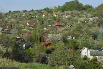 Drżą o swoje ogródki. W planie pojawiła się nowa funkcja na miejscu ROD